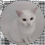 Алексей Марченко