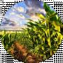 Iteko Agro