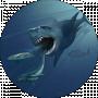 Megalodon