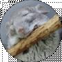 Надя Зеленько