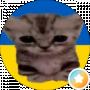 Ангеліна Степанюк