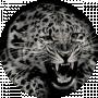 Александр Коровин
