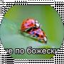 Bodya Gevorkyan