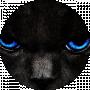 Andy S