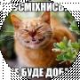 кулінка жот