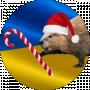 Андрощук Руслан