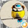 Anijolle