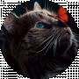 satyrn .1