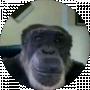 Nazar Gimla