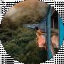 Anmir j