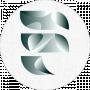 Esselite_design studio