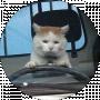 Александр Амакович