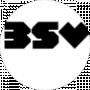 BSV company