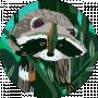 Alyona Shevchuk