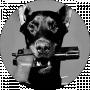 DeadShot12_03