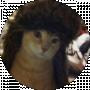 W 1 Z Z Y