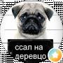 Страйк Осадчий