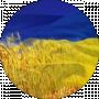 Анна Свідерко