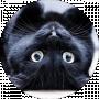 Kitty Skarlett