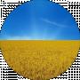Громадянин України