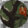 Nerv