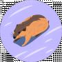 Arina