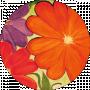 Эленс Бланш