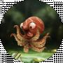 KRAKEN