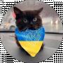 Юра Левків