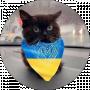 Юра Левків