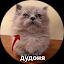 діана олешевець