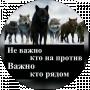 про жизнь