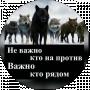 про жизнь