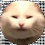 Anton Sh