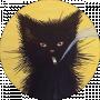 Ratter