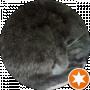Оксана Лихоліт