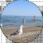 Svitlana Sievriukova