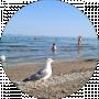 Svitlana Sievriukova