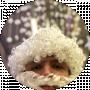 Elite Kuleshov