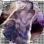 Maksym K