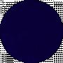 Данило Пігулевич