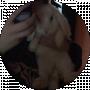 Vıka Bilous