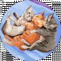 Nelli Movchan