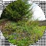 FesenkOlena