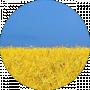 Yarrott Y