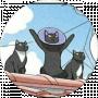 Cat Many cats