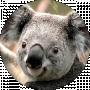 Дмитро Бічев