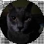 Dizztorzion