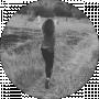 Ro_se “RoseAlina” Alina