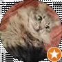 Єва Вернигор